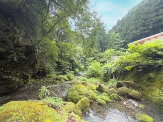 敷地に隣接する渓流と苔むした岩場